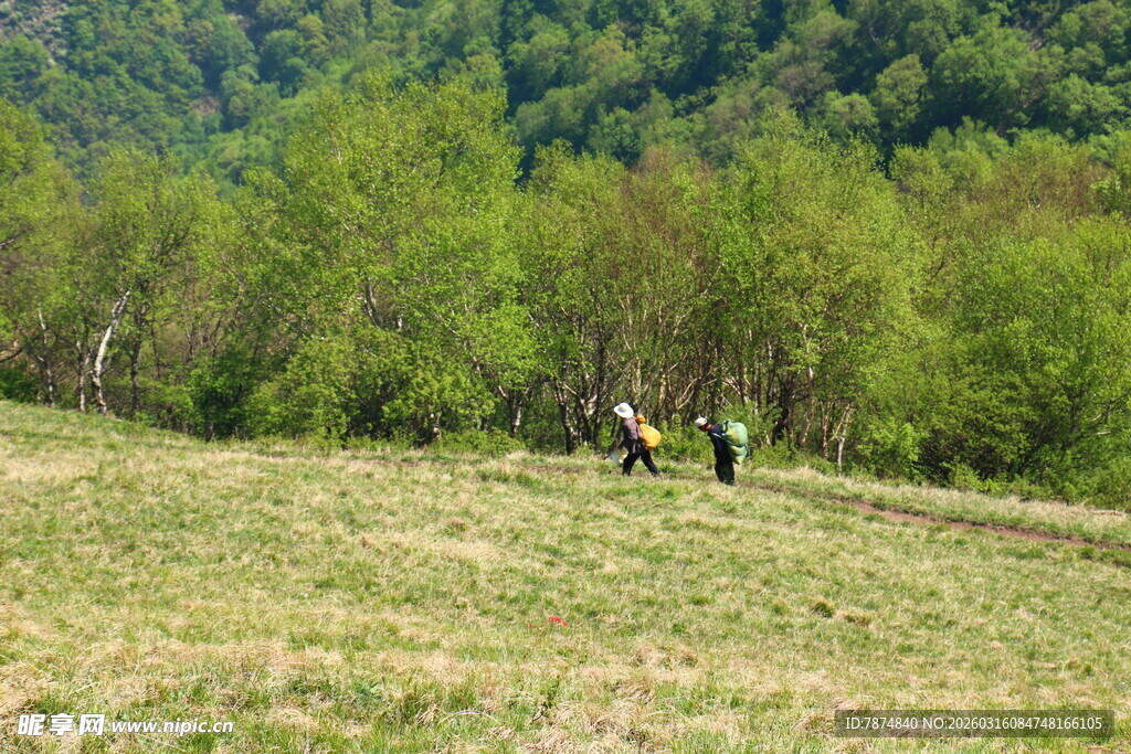 山间草地的徒步者