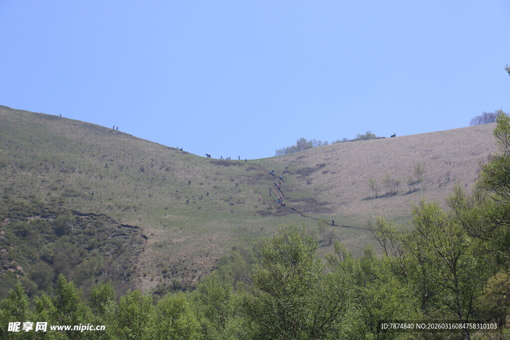 青山绿树的自然景致