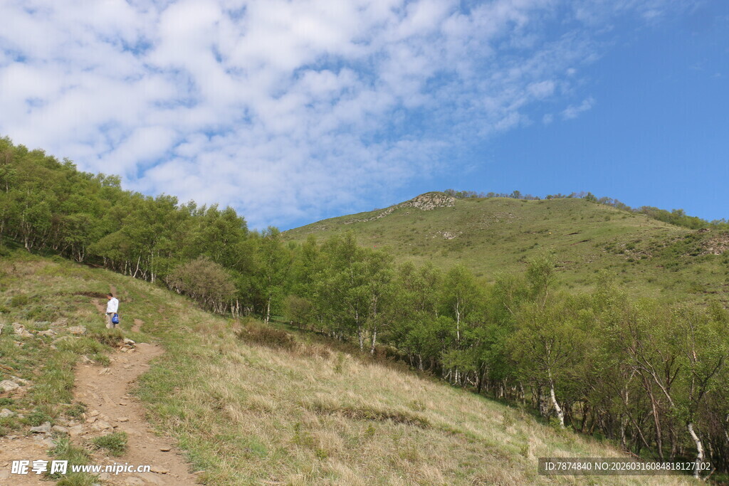 山间徒步小径 绿意盎然