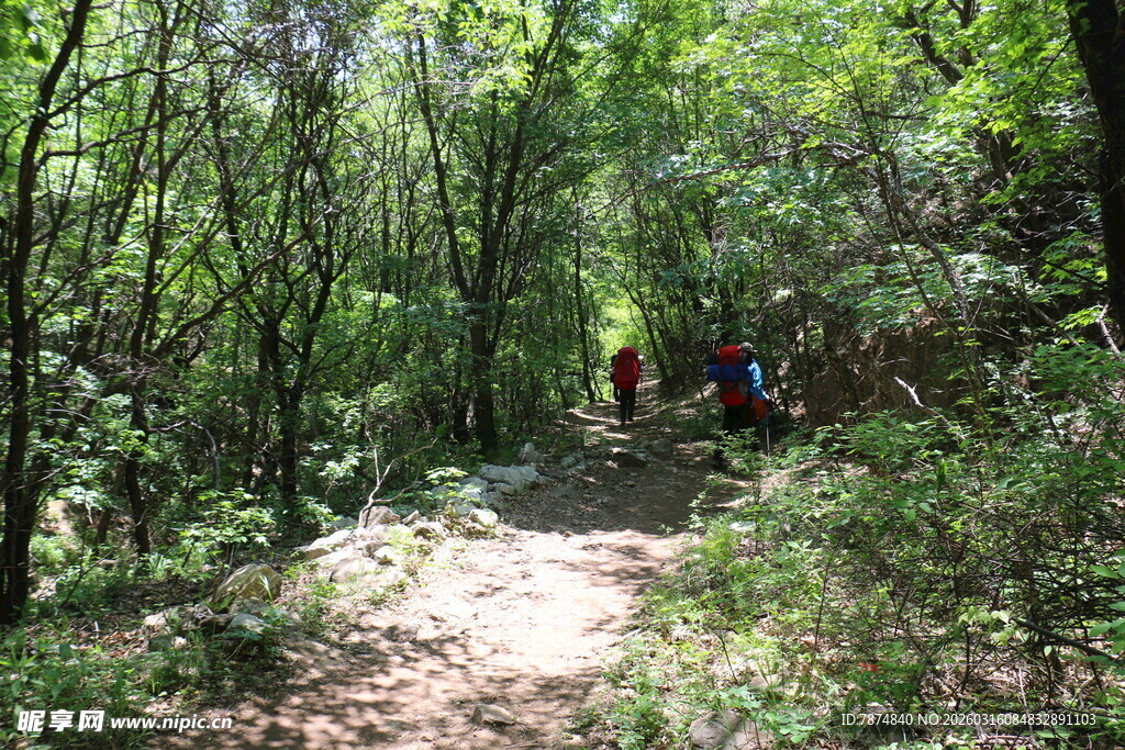 林间徒步小道上的背包客