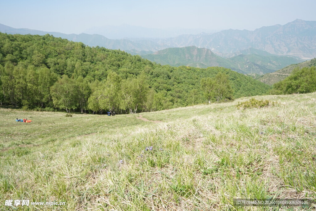 山间绿野 尽显自然之美