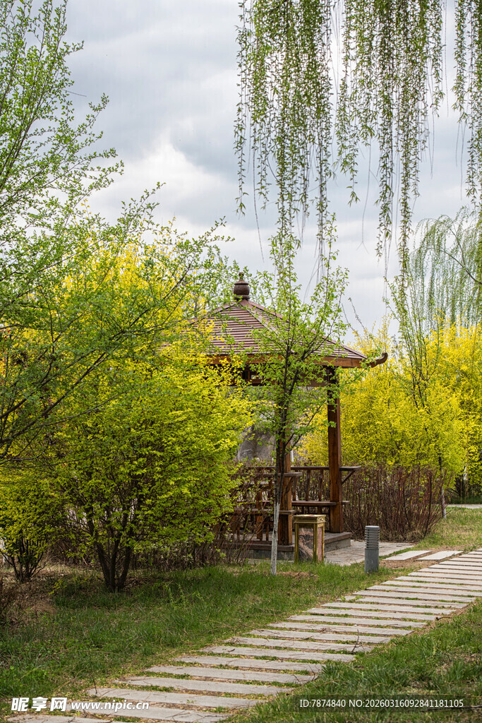 春日园林中的雅致小凉亭