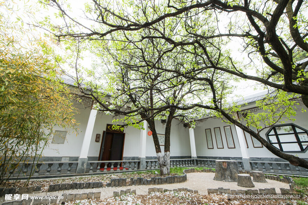 中式庭院 繁茂树枝下的建筑