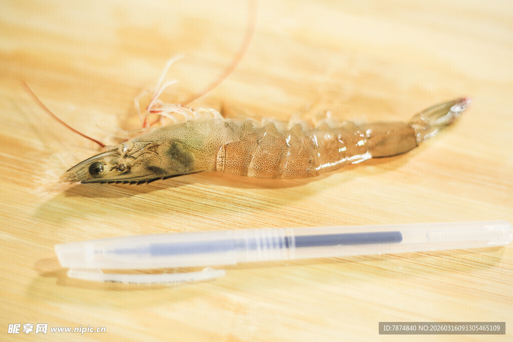 透明容器中的鲜活虾类