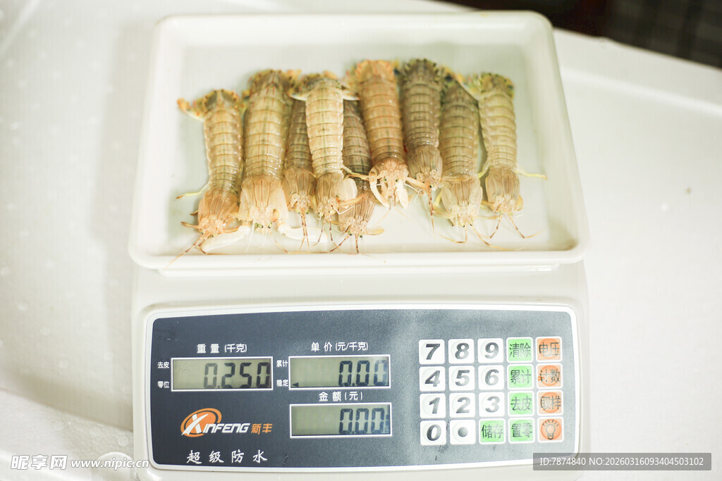 海鲜秤上待售的皮皮虾