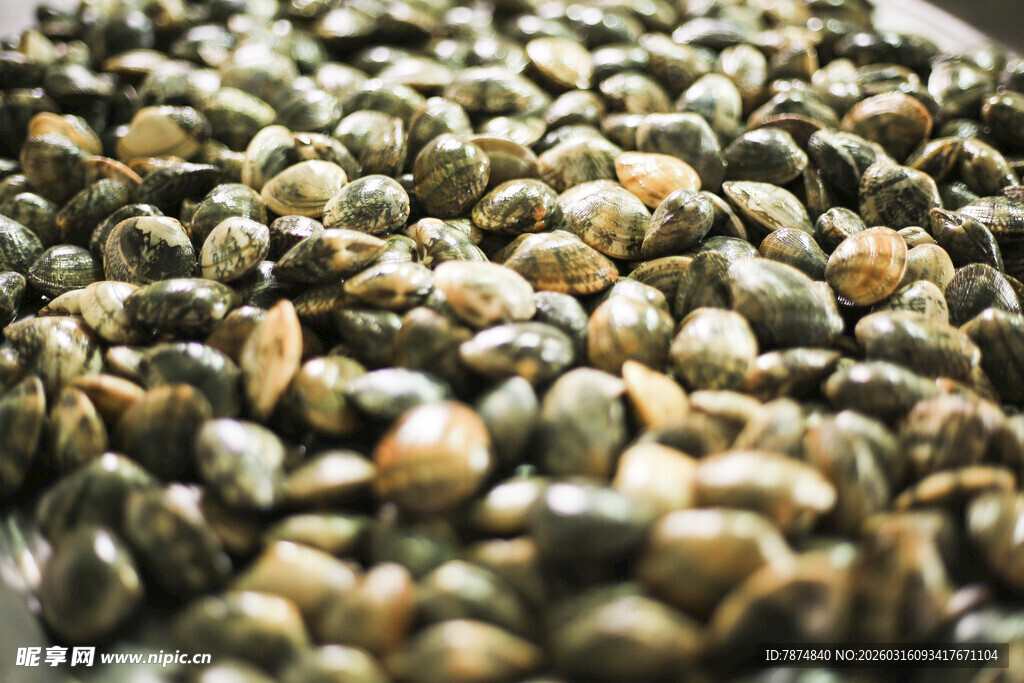 饱满多彩的南瓜子特写