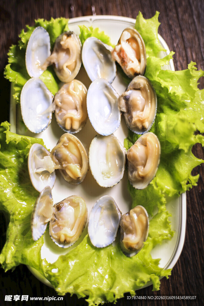 一盘鲜嫩的蛤蜊配生菜