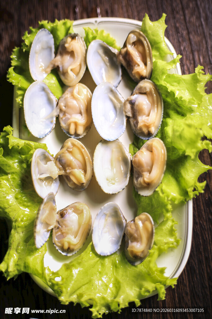 生菜上的新鲜蛤蜊