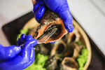 蓝手套摆弄海鲜贝类