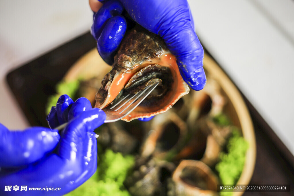 蓝手套摆弄海鲜贝类