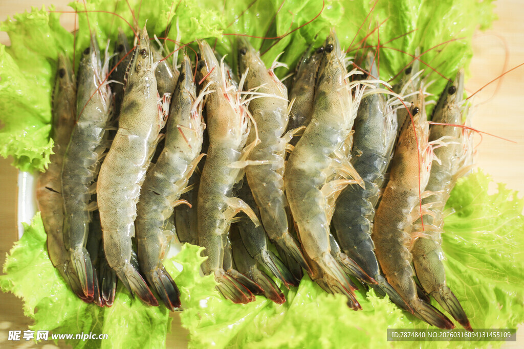 新鲜生菜上摆放的鲜虾