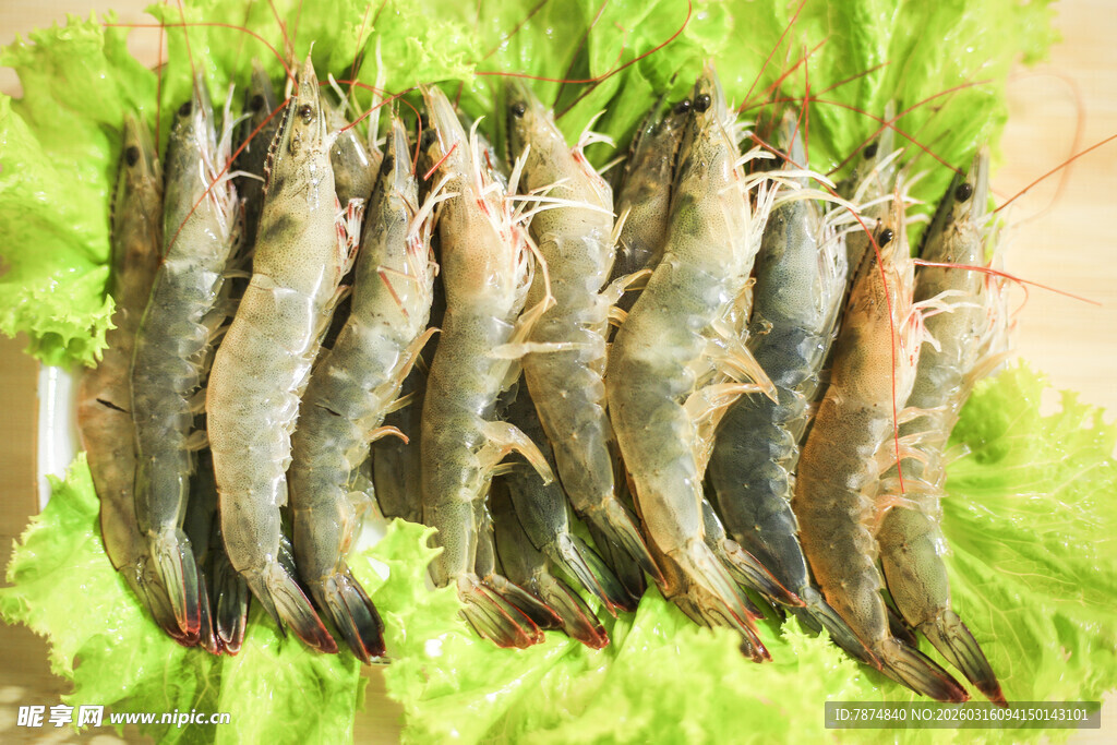 新鲜生菜上摆放的鲜虾