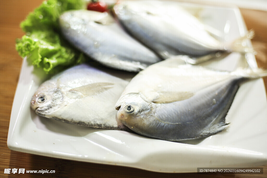新鲜白鲳鱼摆盘展示