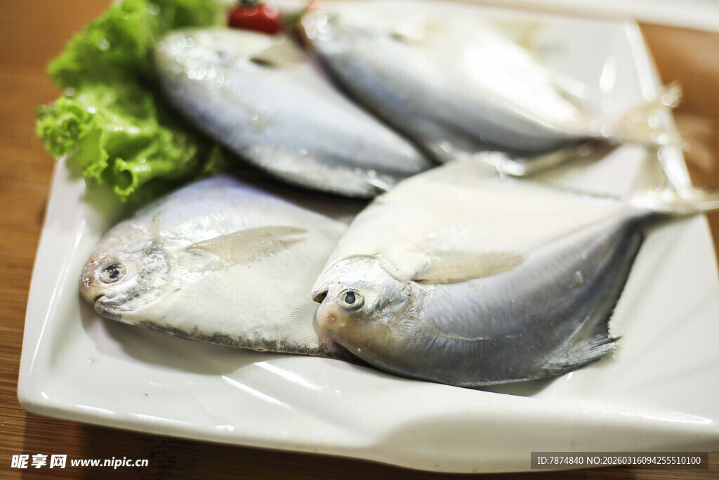 新鲜白鲳鱼摆盘展示
