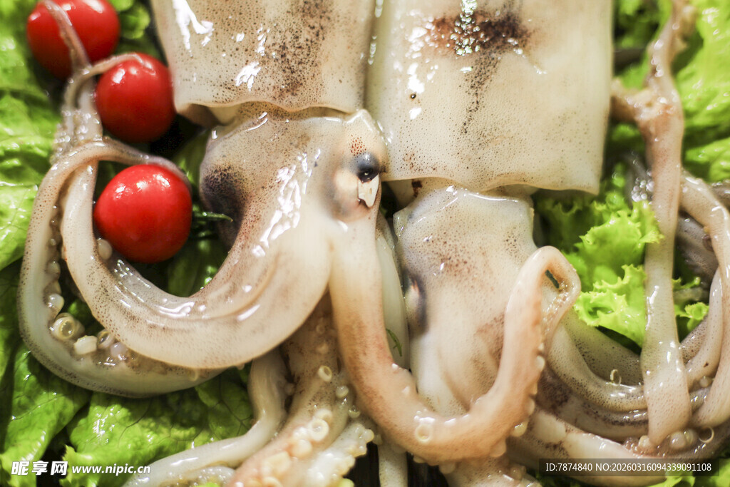 新鲜鱿鱼配蔬菜与樱桃