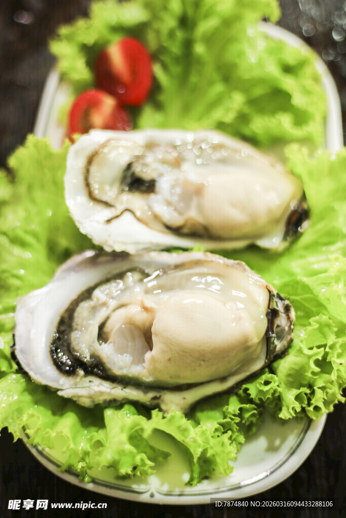 新鲜生蚝配生菜与番茄