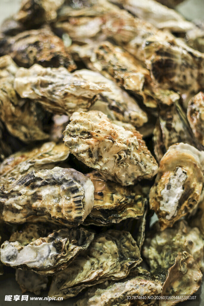 新鲜牡蛎堆叠