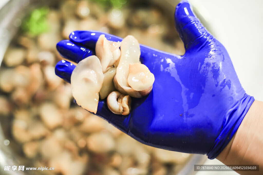 戴蓝手套手持虾仁