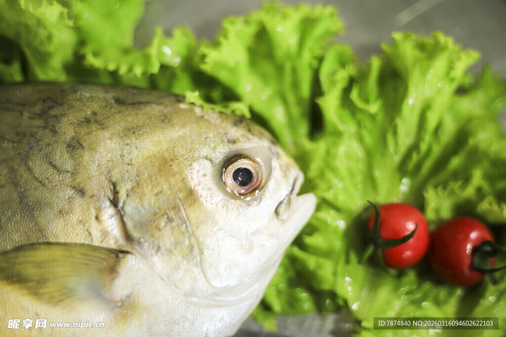 金鲳鱼配生菜与红果