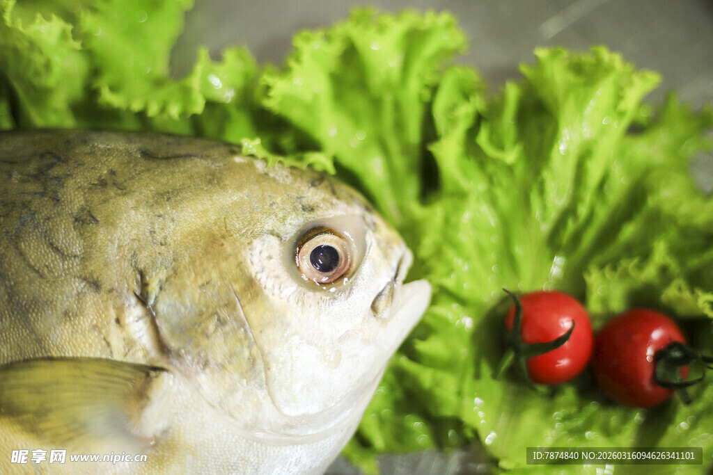 鱼与辣椒生菜的新鲜组合