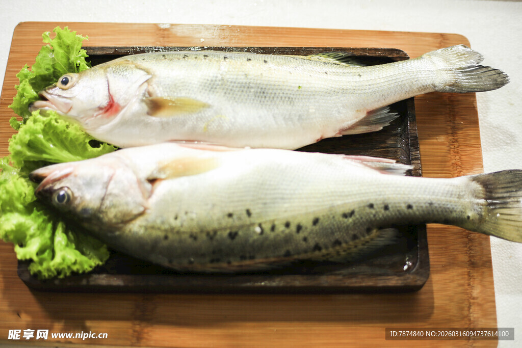 新鲜鲈鱼置于木盘配生菜
