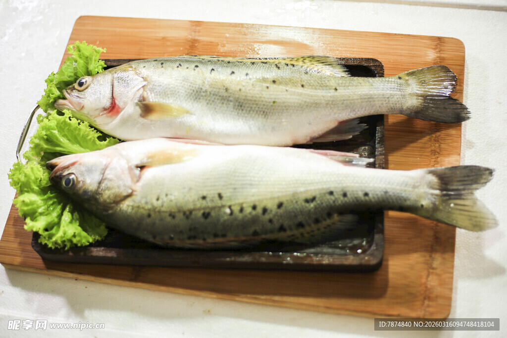 木板上的两条新鲜鲈鱼