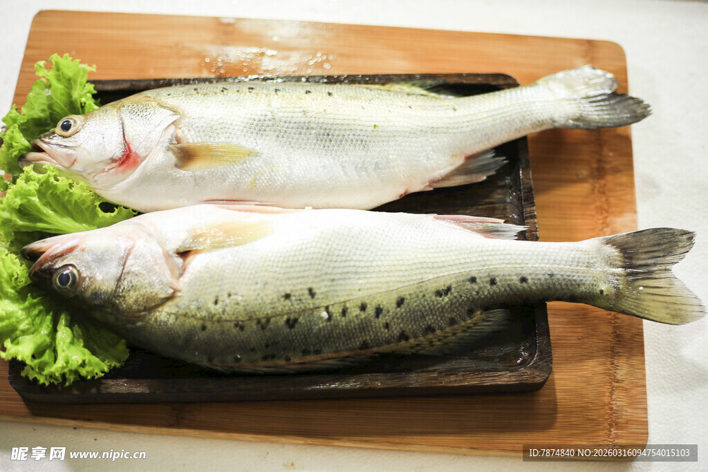 新鲜鲈鱼放置于木盘上