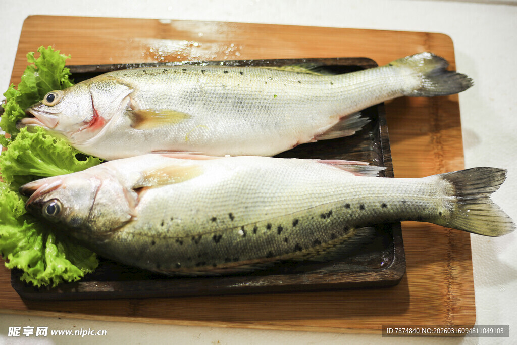 木盘上的两条新鲜鲈鱼
