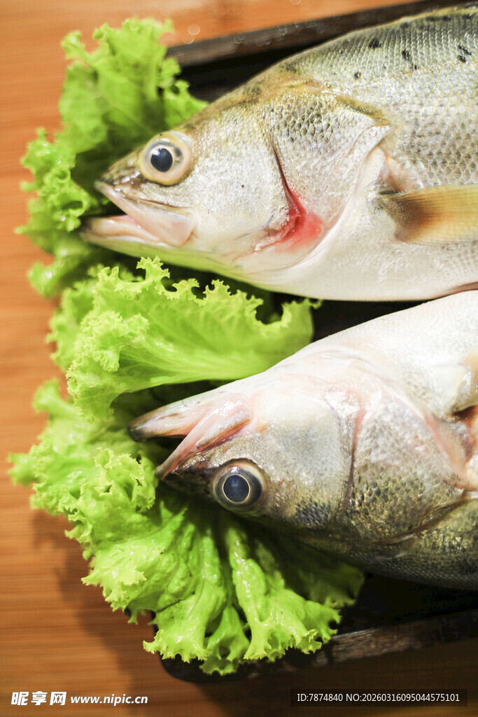 新鲜生鱼配翠绿生菜