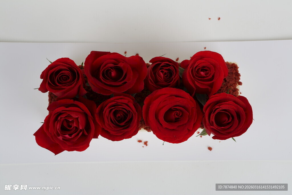 红玫瑰组合