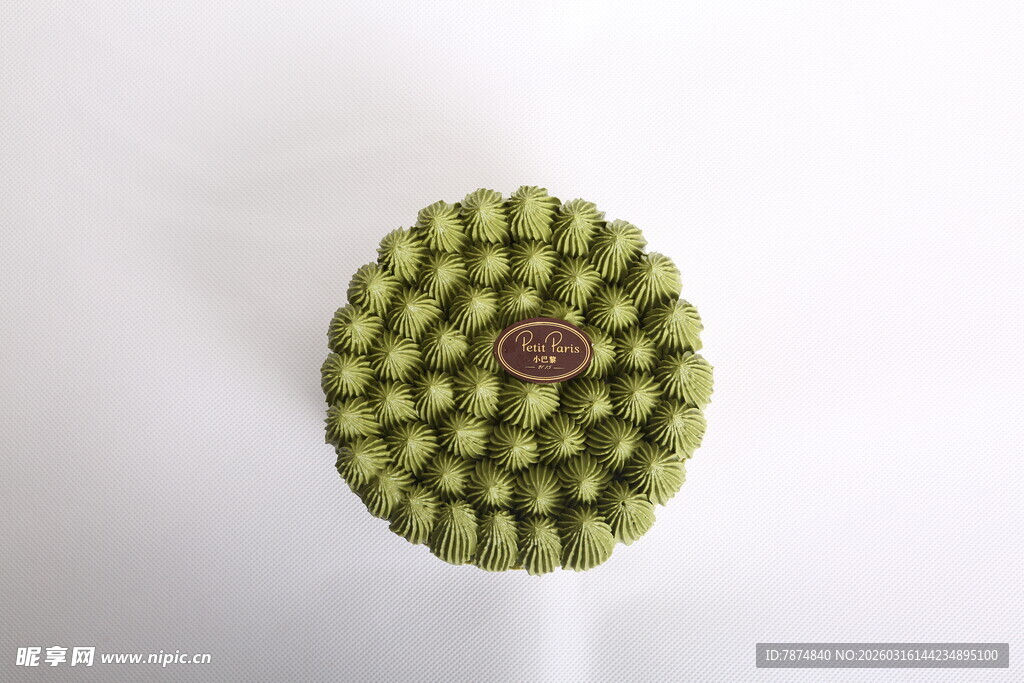 绿色球状植物特写