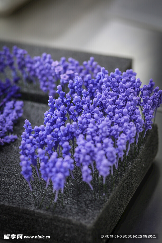 工艺品紫色薰衣草盆栽展示