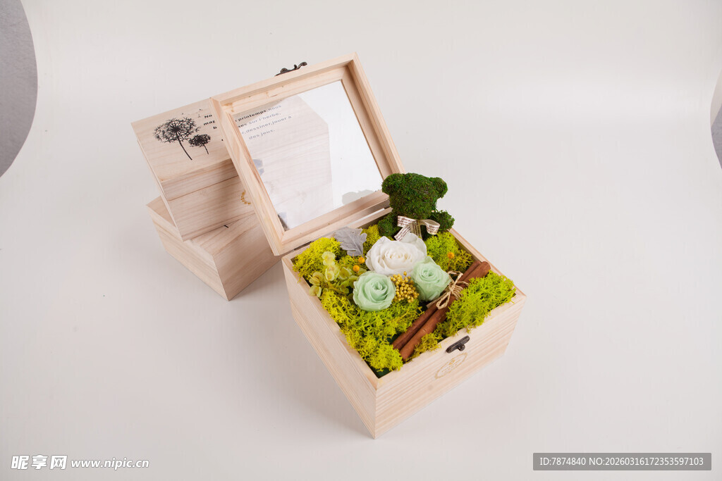 工艺品木质花盒中的清新绿植