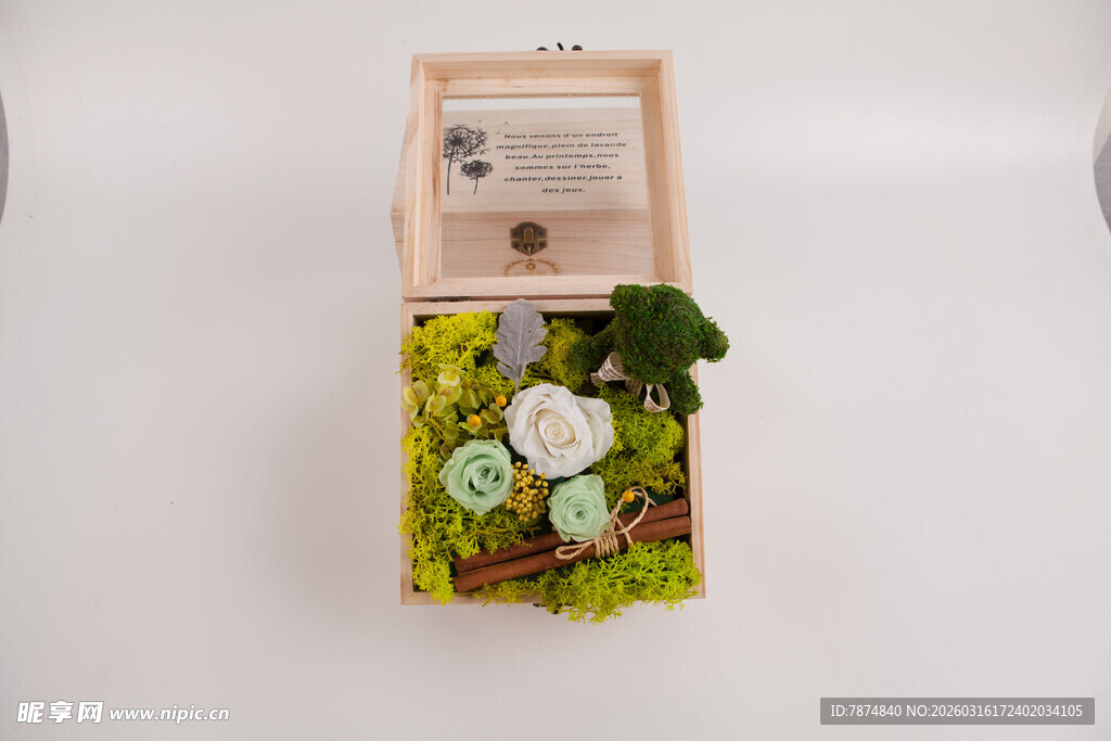 工艺品木质创意多肉植物小盆栽