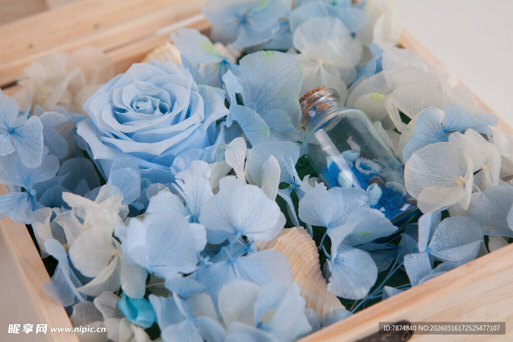 工艺品蓝色系精美永生花礼盒