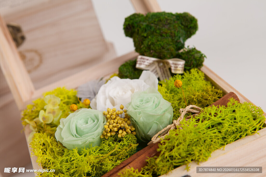 工艺品精致苔藓微景观摆件