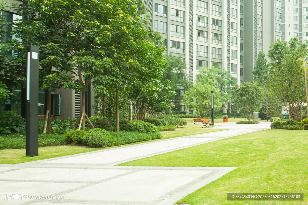 城市中的静谧绿化步道