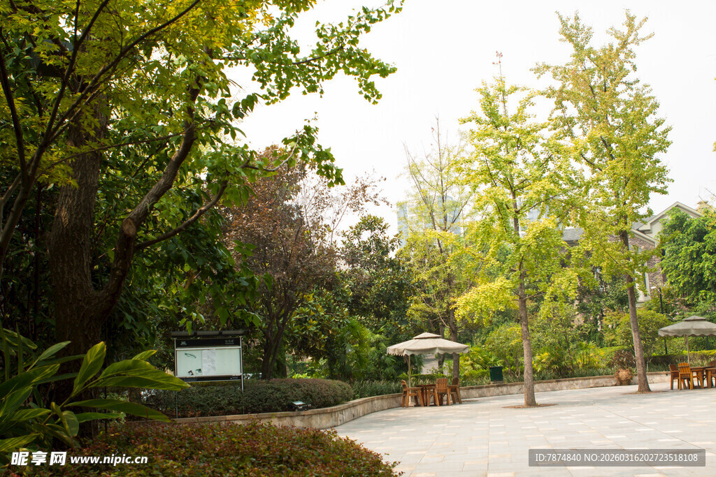 林间休闲庭院景观