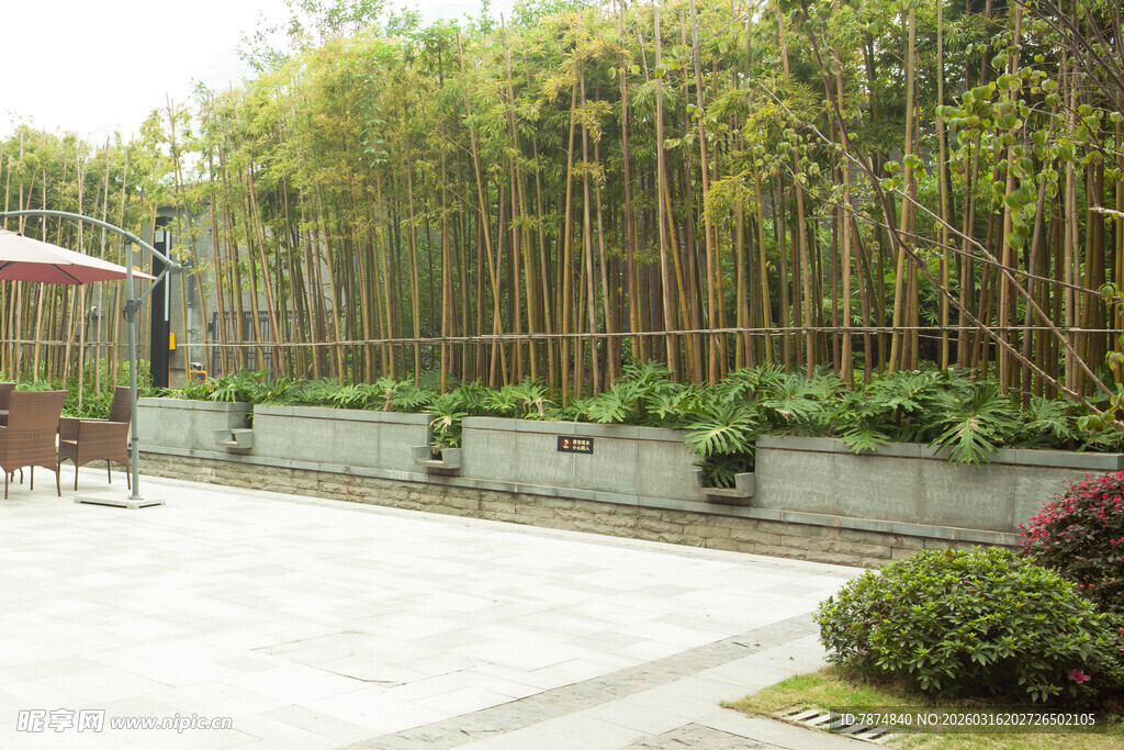 庭院竹林景观休闲区