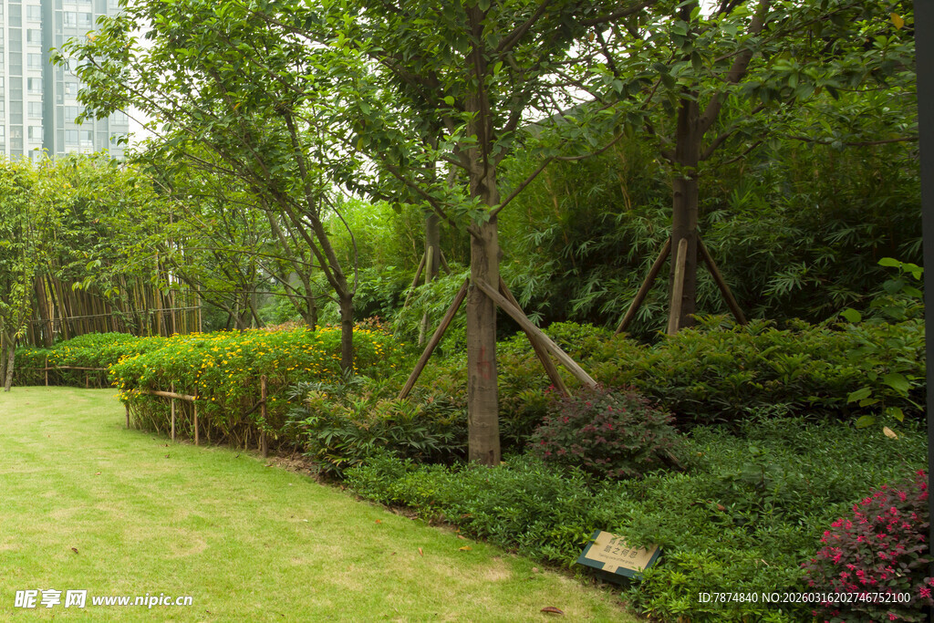 城市中的静谧绿植景观