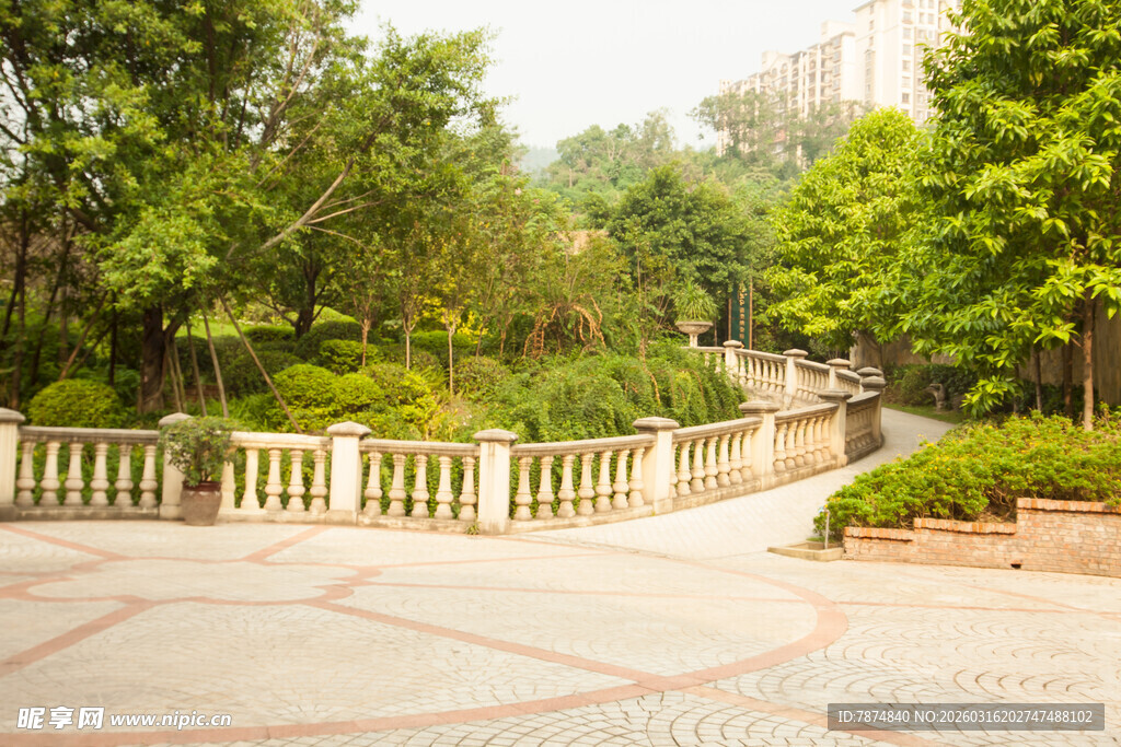 公园中的宁静步道景观