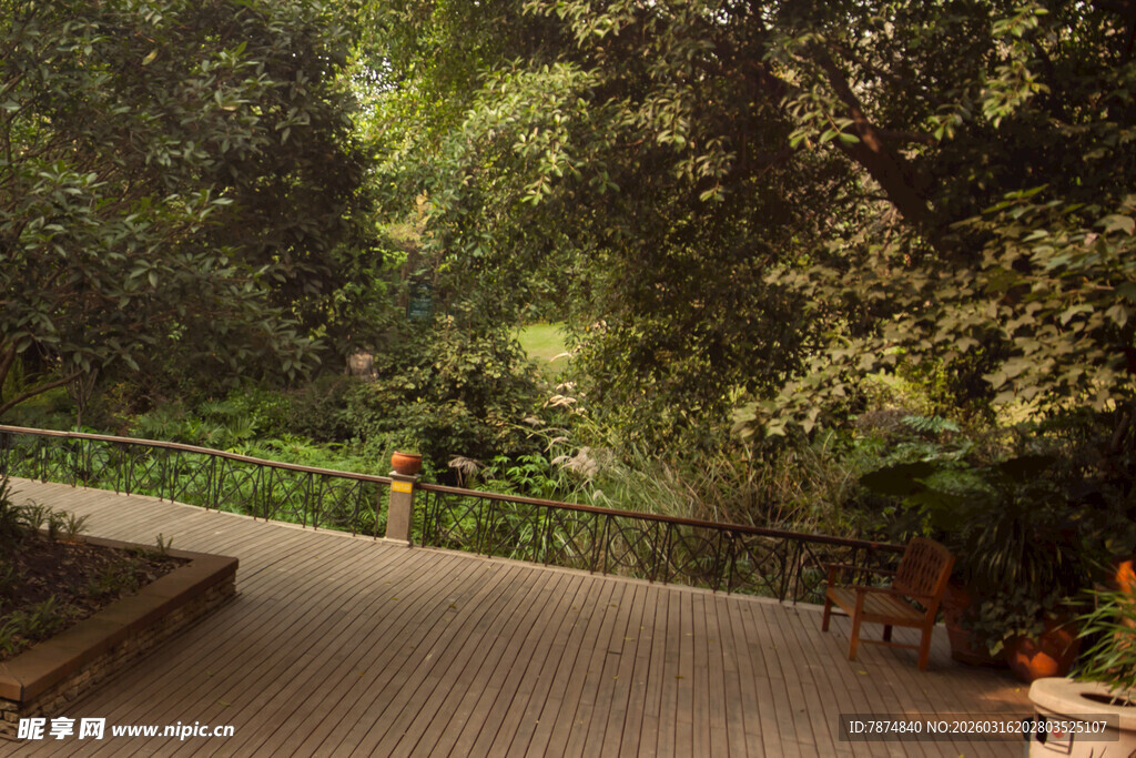 林间木栈道 静谧自然景