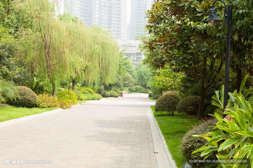 城市中的静谧林荫小道