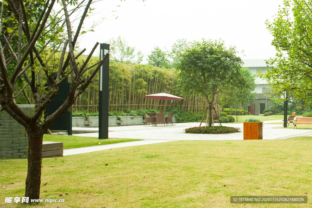 公园内的开阔草地与树木