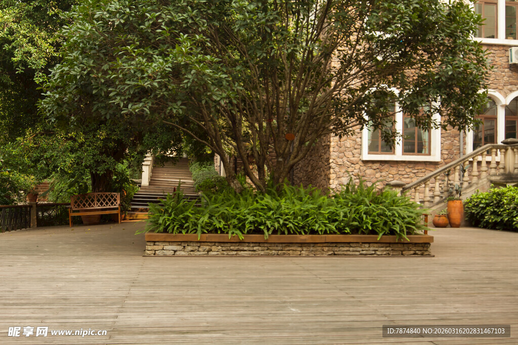 庭院绿植环绕的宁静空间