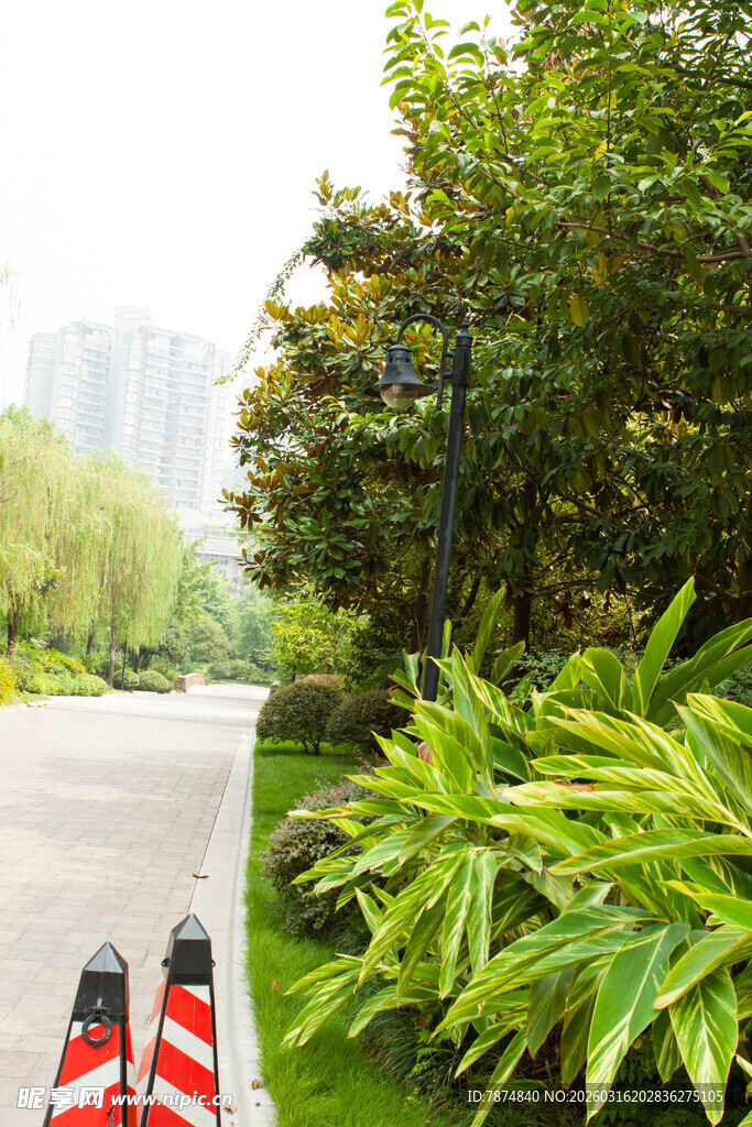 户外骑行时的路边绿意