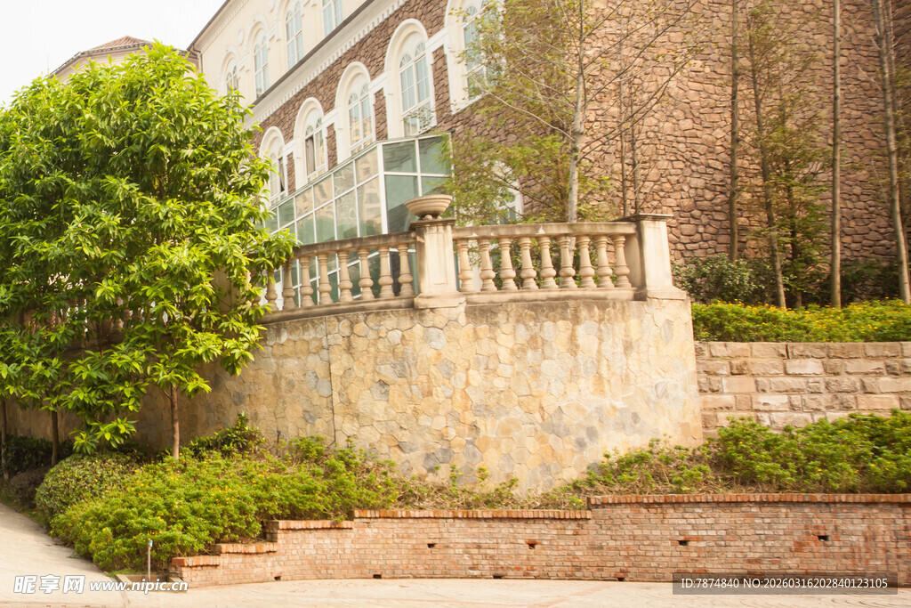 庭院石阶旁绿植环绕景致