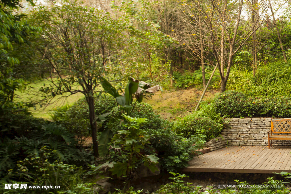 静谧林间休憩处