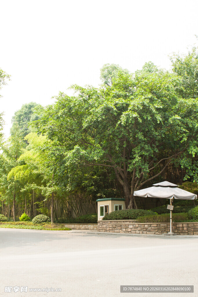户外绿树环绕的休闲场景