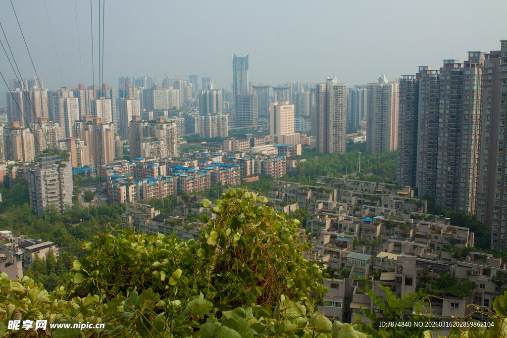 城市建筑群与前景绿树景观